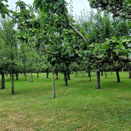 Gasthuis Cosma House 3*