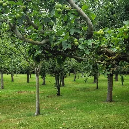 Gasthuis Cosma House 3*