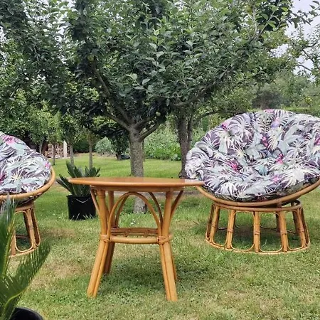 Cosma House Hinojedo