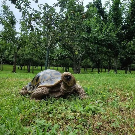 Gasthuis Cosma House Hinojedo