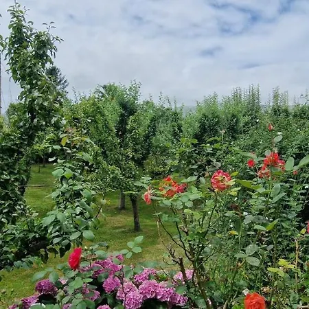 בית הארחה Cosma House