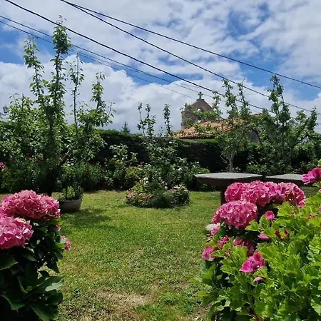 בית הארחה Cosma House