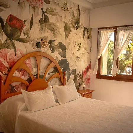 Cosma House Hinojedo