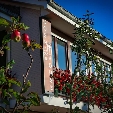 Pensionat Cosma House