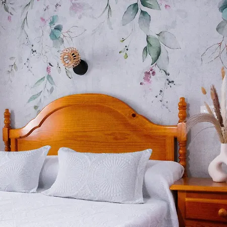 Cosma House Pensión