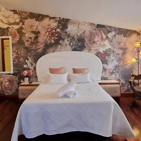 Cosma House 招待所