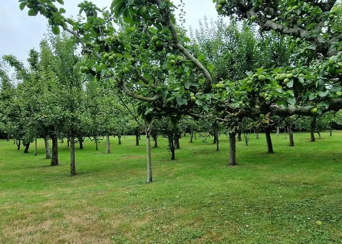 Gæstehus Cosma House 3*