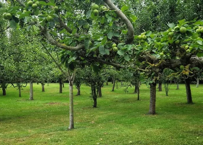 Pensión Cosma House 3*