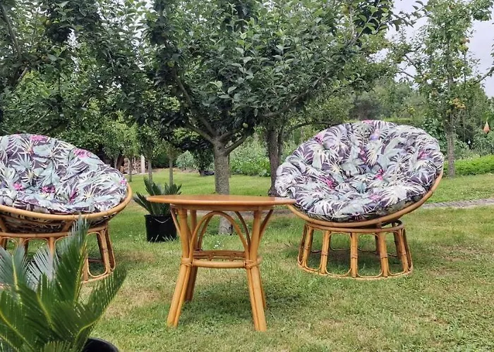 Cosma House Hinojedo