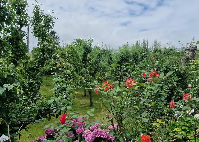 Pensión Cosma House