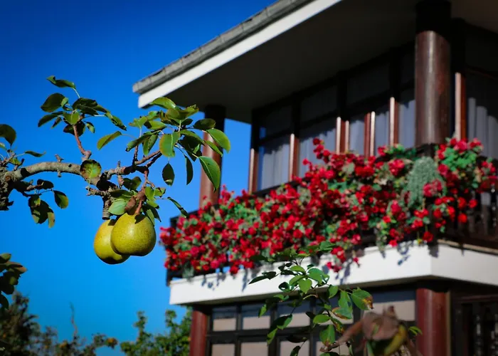 Cosma House Pensión Hinojedo