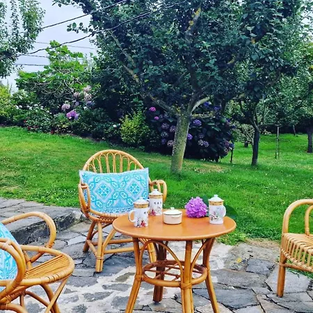 Cosma House 3*