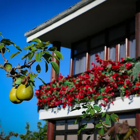 Cosma House Guest house Hinojedo