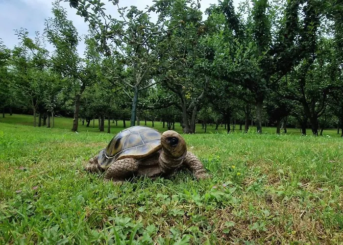 Guest house Cosma House Hinojedo