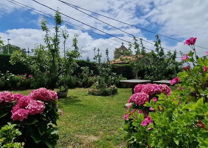 Guest house Cosma House