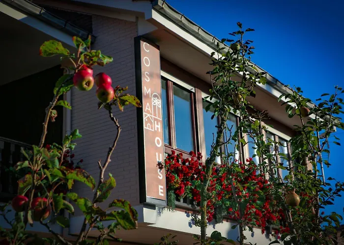 Guest house Cosma House